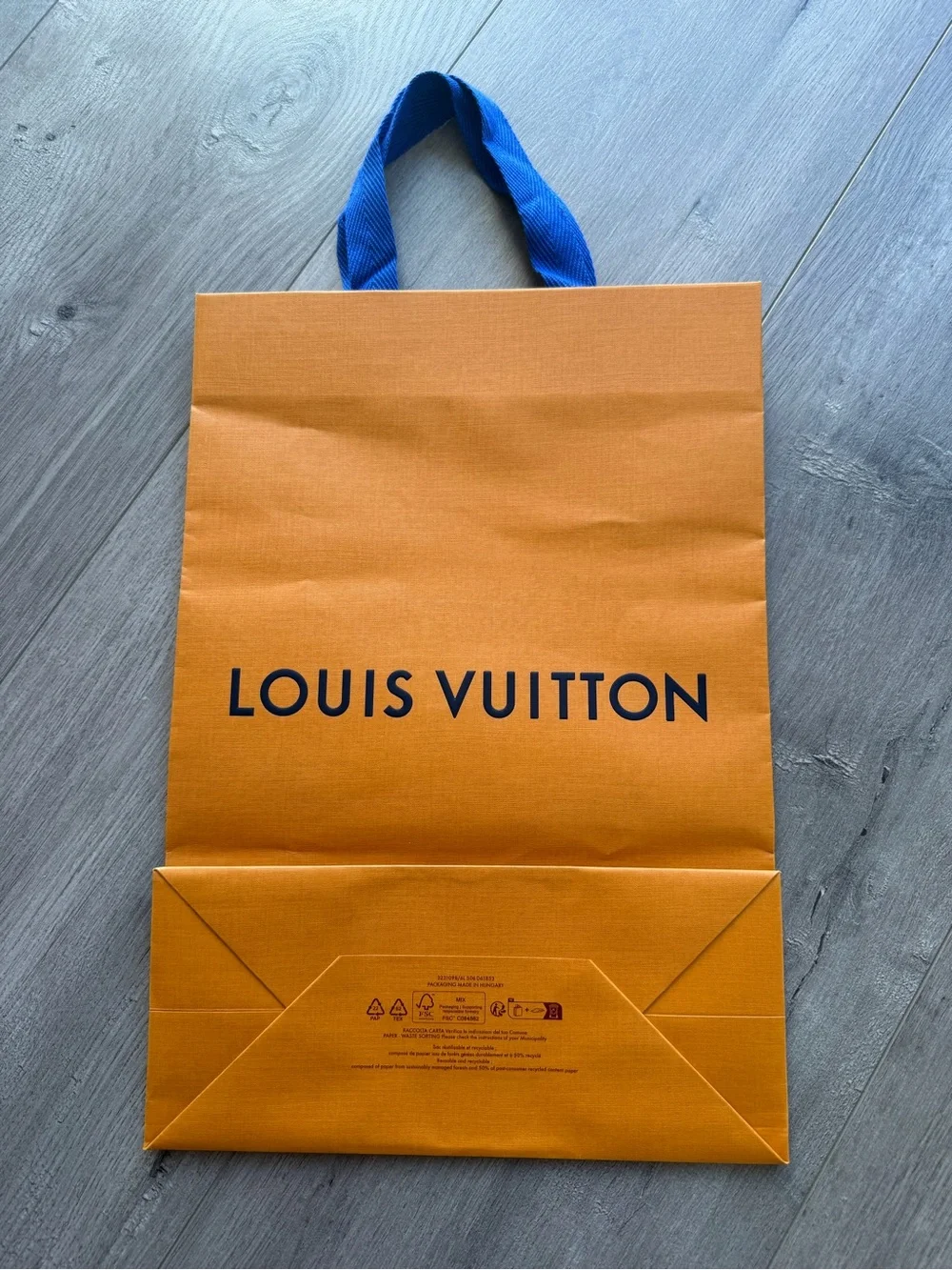 Louis Vuitton shopping bag